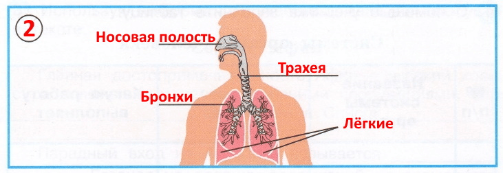 Решение рисунок 1