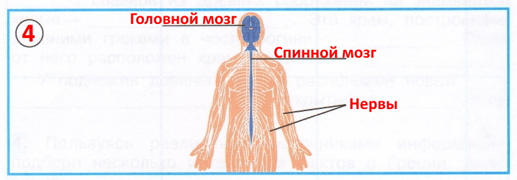 Решение рисунок 2