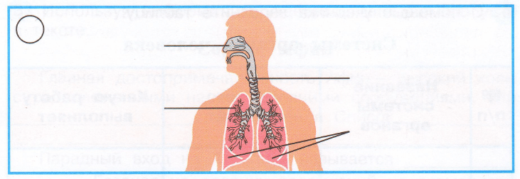 Задание рисунок 1