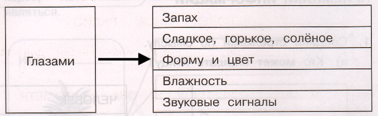 Решение рисунок 1