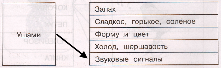 Решение рисунок 1